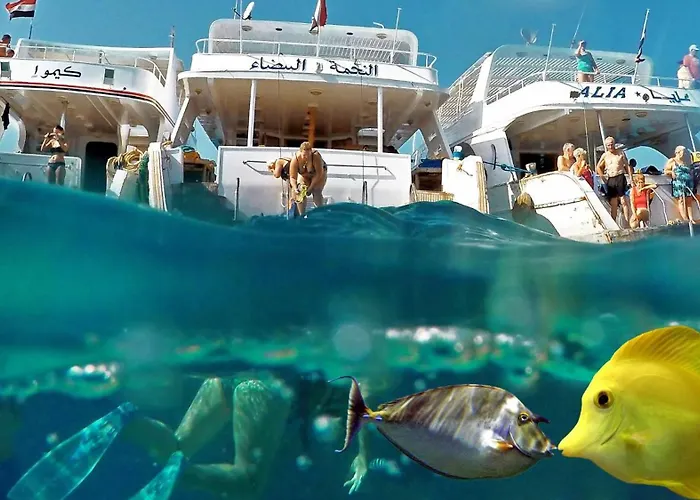 Tour Hotel en barco
